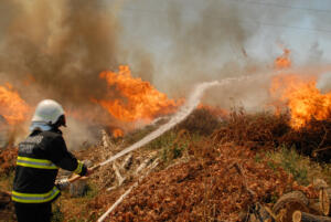 3 300x201 Büyükşehir’de Yılın Son Meclis Toplantısı Gerçekleştirildi!